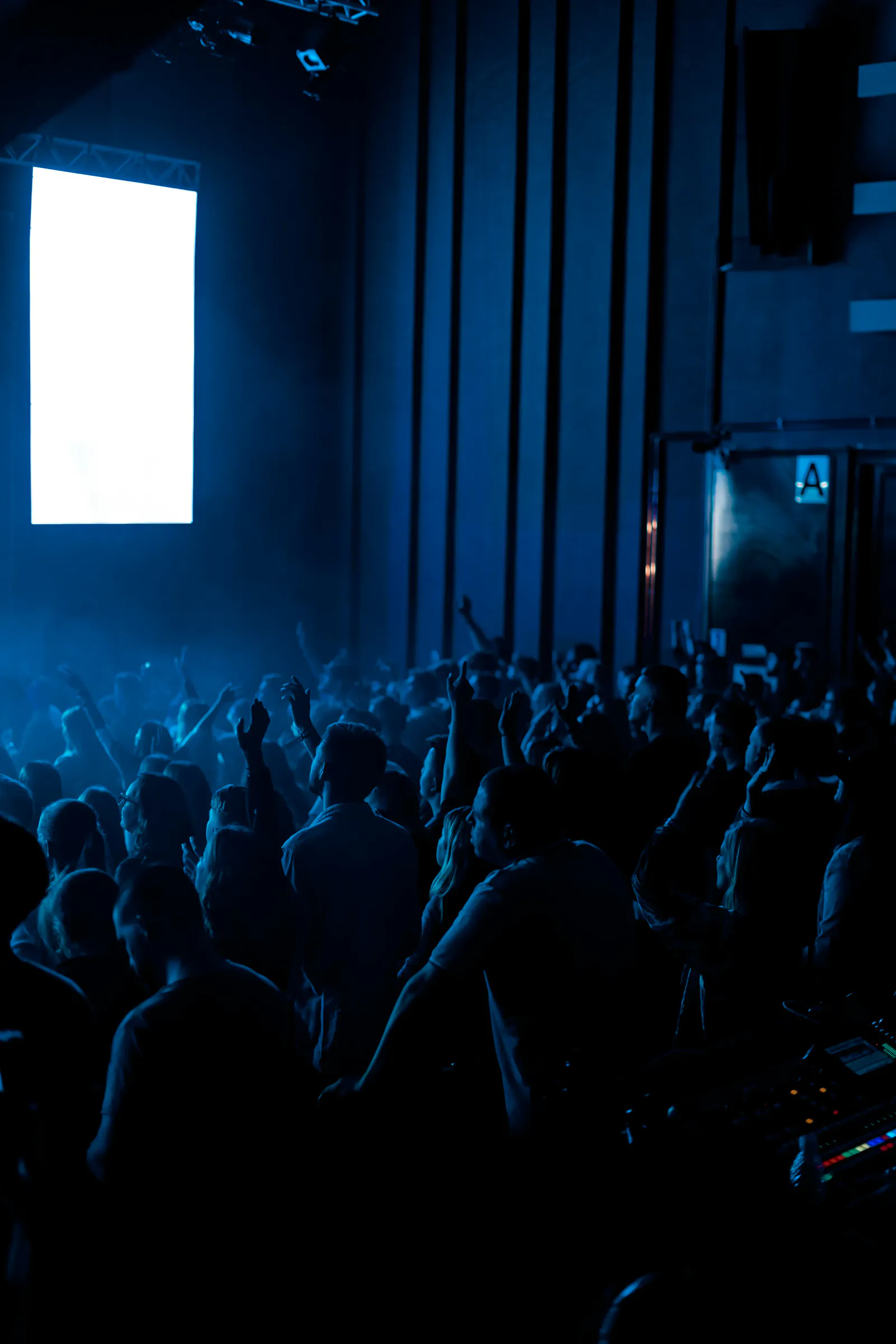 An energetic crowd watching a live festival performance